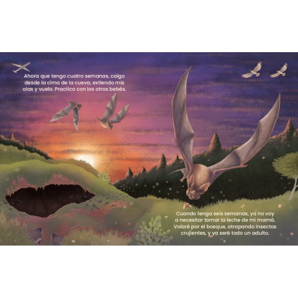 Product Image for  Así crezco