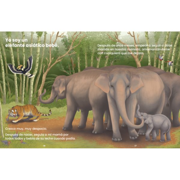 Product Image for  Así crezco