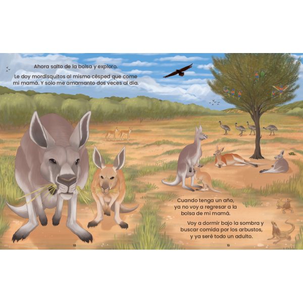 Product Image for  Así crezco