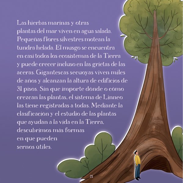 Product Image for  Ciencia abierta: Las mujeres en la botánica