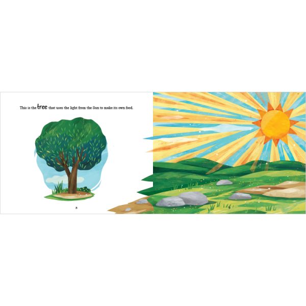Product Image for  This Is the Sun