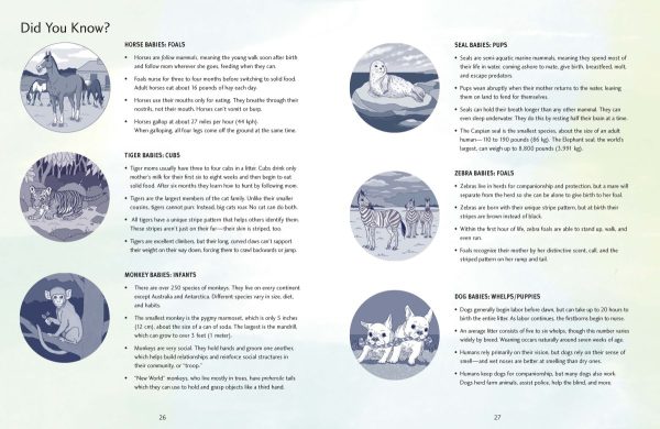 Product Image for  Nurtured and Nuzzled Bilingual Book Set