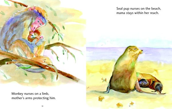 Product Image for  Nurtured and Nuzzled Bilingual Book Set