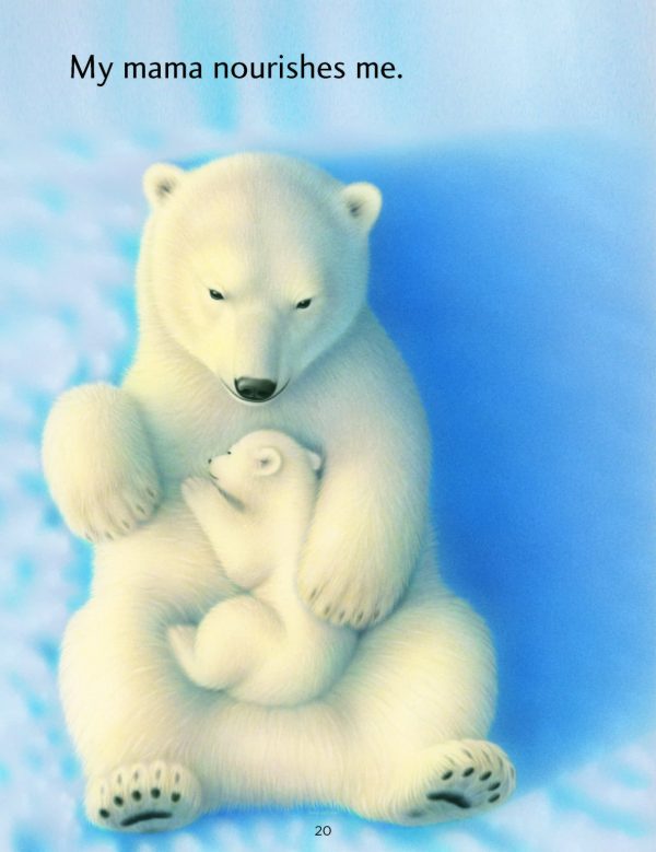 Product Image for  Cuddled and Carried / Consentido y cargado