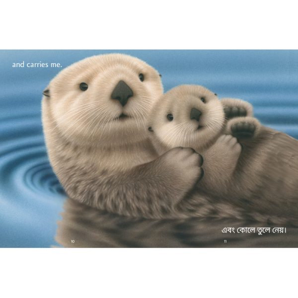 Product Image for  Nurtured and Nuzzled Bilingual Book Set