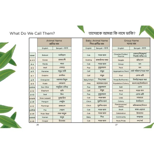 Product Image for  Nurtured and Nuzzled Bilingual Book Set