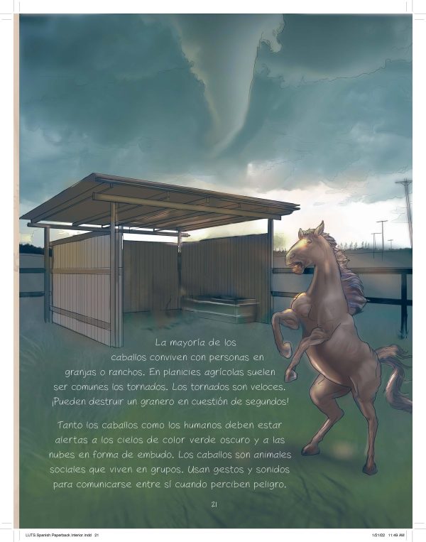 Product Image for  Look Up to See What the Weather Will Be English and Spanish Duo