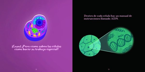 Product Image for  Women in Science English and Spanish Set