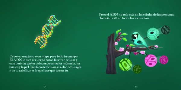 Product Image for  Las mujeres en CTIM Set