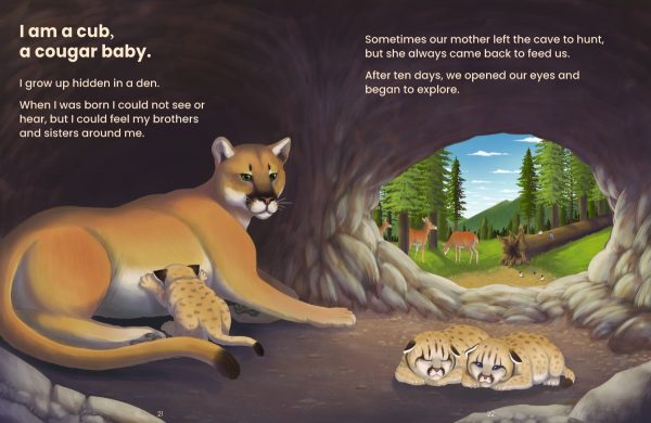Product Image for  Animals and Their Habitats Set