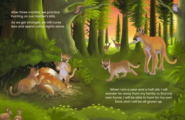 Product Image for  Animals and Their Habitats Set
