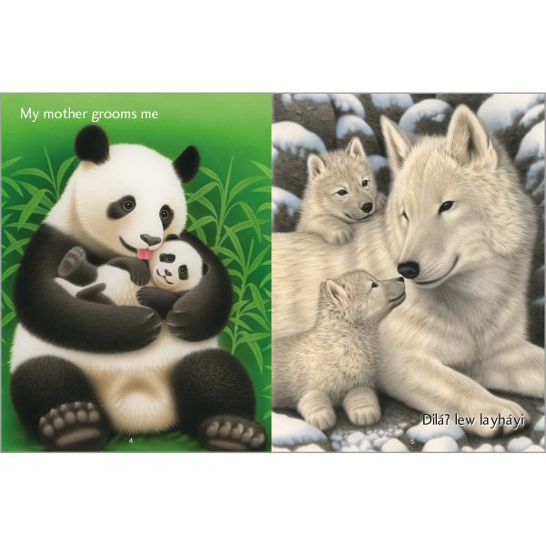 Product Image for  Cuddled and Carried / ?umngaming galopaya ?ida gahamuyo-kida