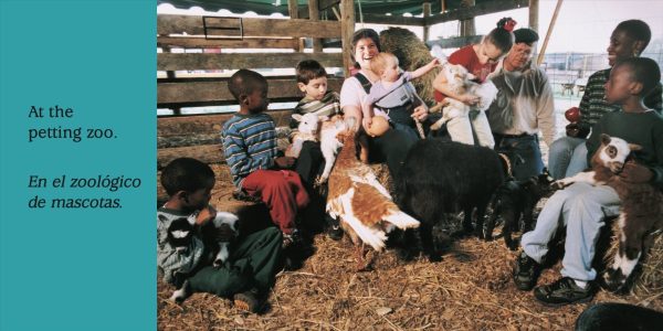 Product Image for  Look What I See! Where Can I Be? With My Animal Friends / ¡Mira lo que veo! ¿Dónde crees que estoy? Con mis amigos los animales
