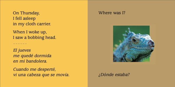 Product Image for  Look What I See! Where Can I Be? With My Animal Friends / ¡Mira lo que veo! ¿Dónde crees que estoy? Con mis amigos los animales