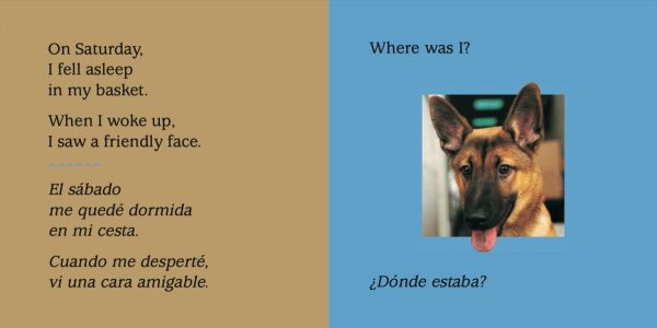 Product Image for  Look What I See! Where Can I Be? With My Animal Friends / ¡Mira lo que veo! ¿Dónde crees que estoy? Con mis amigos los animales