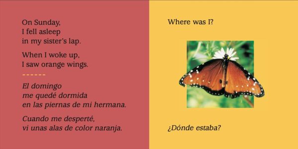 Product Image for  Look What I See! Where Can I Be? With My Animal Friends / ¡Mira lo que veo! ¿Dónde crees que estoy? Con mis amigos los animales