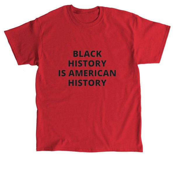 Product Image for  Black History American History Tee