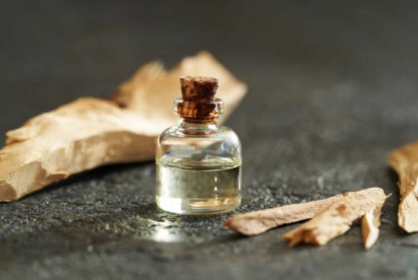 Product Image for  CHÉRIE COCO
