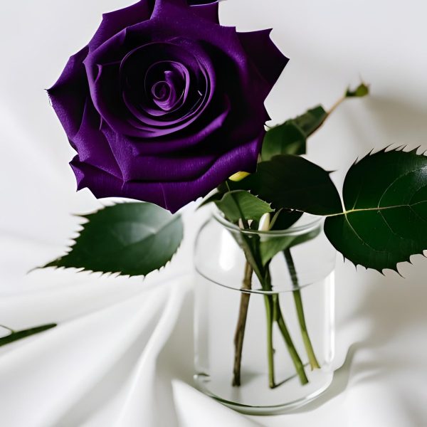 Product Image for  Regal Touch  plum/dark rose/patchouli Coconut Wax Blend Candle
