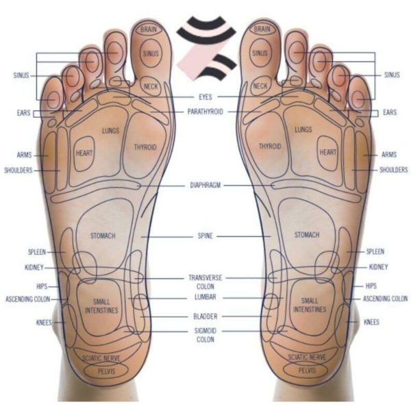 Product Image for  The Ninja Heated Foot Massager for Therapy 2 in 1