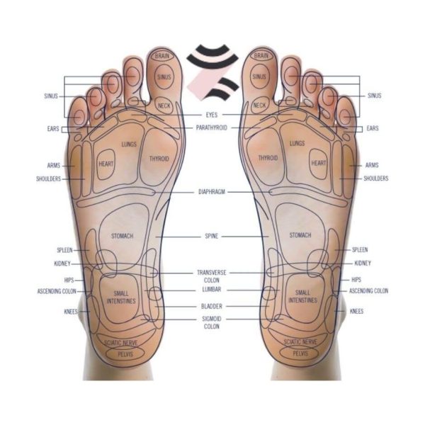 Product Image for  Daiwa Foot vibe Pro Foot Massager USJ-871