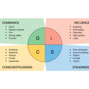 Product Image for DISC Workplace Assessment + Debrief