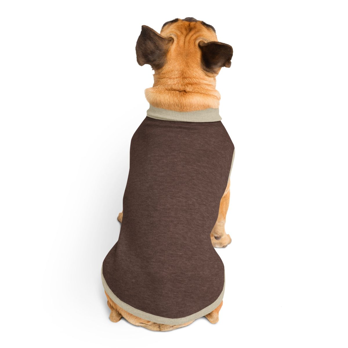 Product Image for Public Pups Preppy Dog Sweater — Brown & Beige