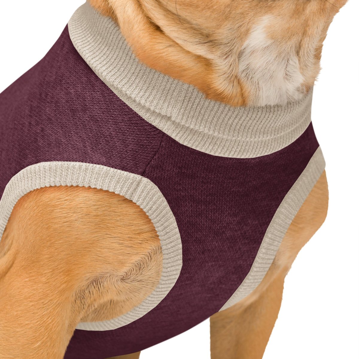 Product Image for Public Pups Preppy Dog Sweater — Burgundy & Biscuit