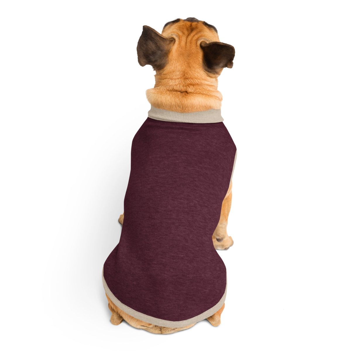 Product Image for Public Pups Preppy Dog Sweater — Burgundy & Biscuit