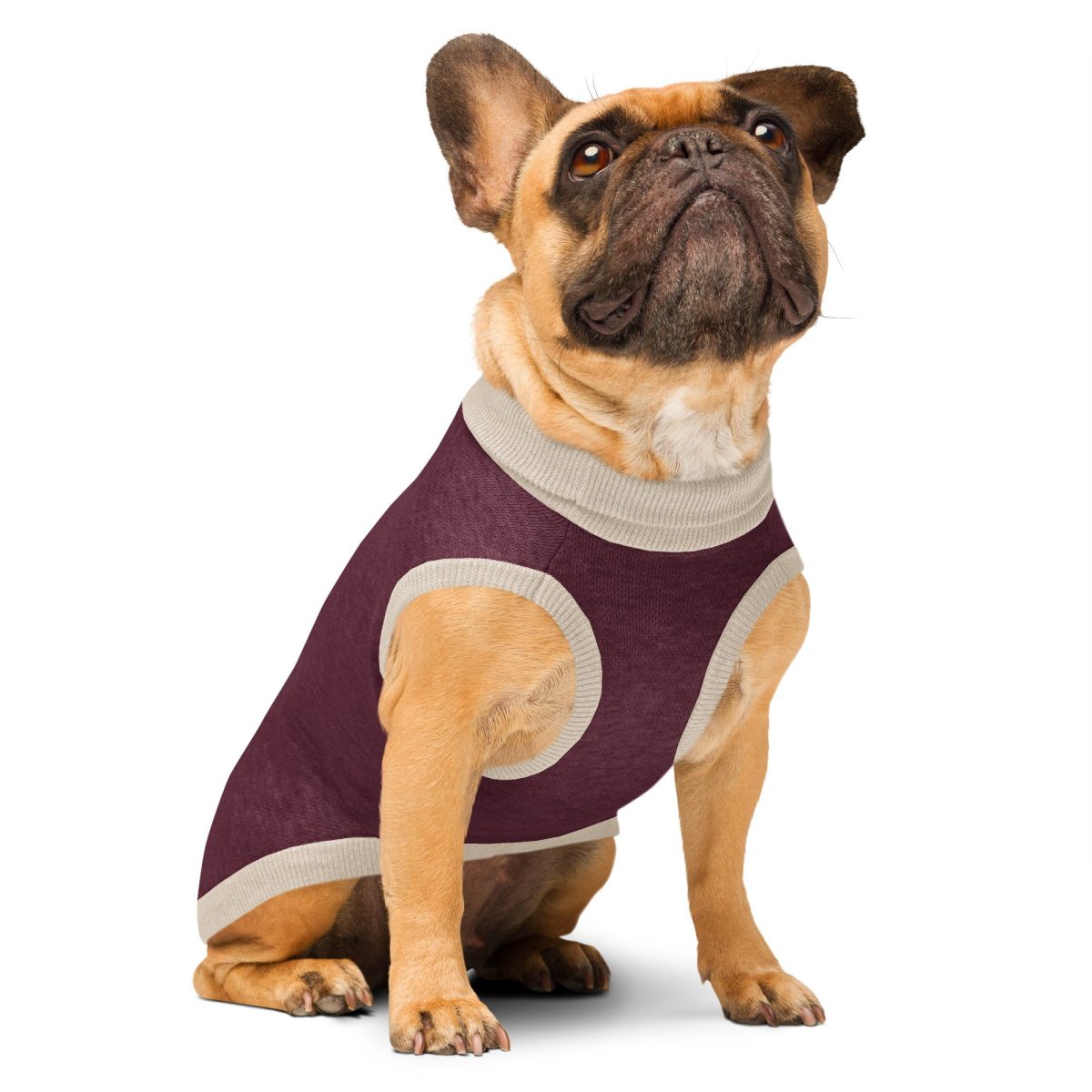 Product Image for Public Pups Preppy Dog Sweater — Burgundy & Biscuit