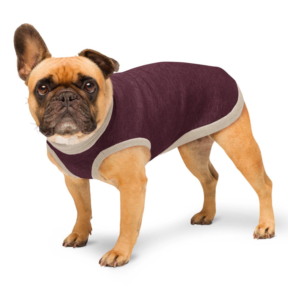 Product Image for Public Pups Preppy Dog Sweater — Burgundy & Biscuit