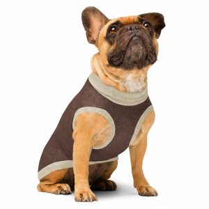 Product Image for Public Pups Preppy Dog Sweater — Brown & Beige