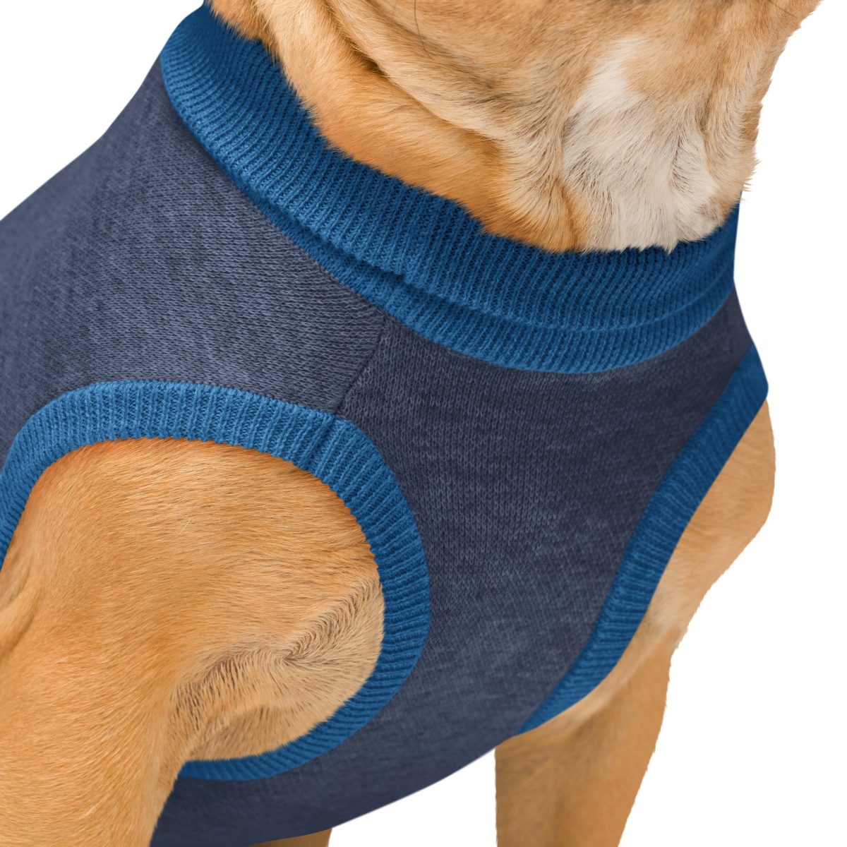 Product Image for Public Pups Preppy Dog Sweater — Navy & Collegiate Blue