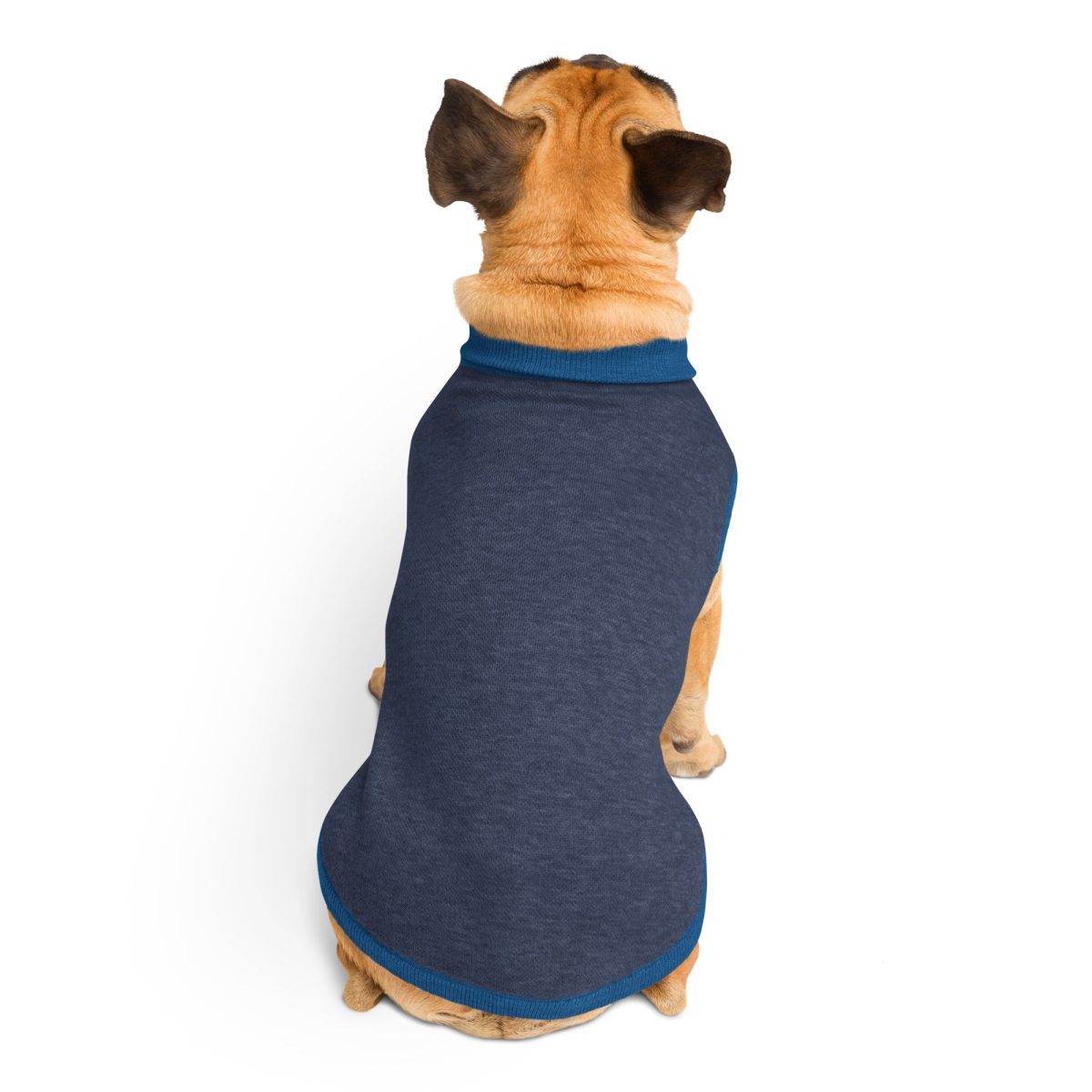 Product Image for Public Pups Preppy Dog Sweater — Navy & Collegiate Blue