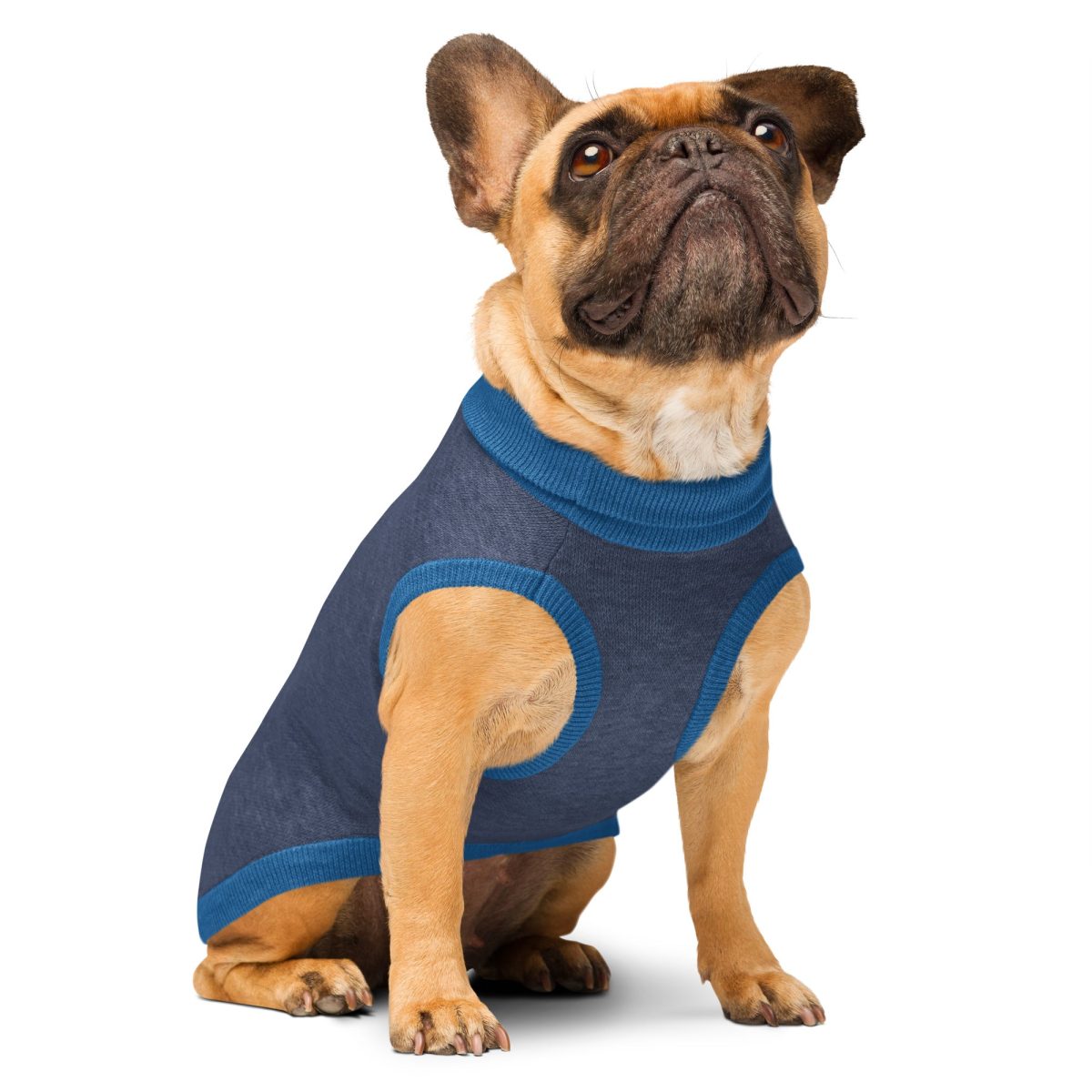 Product Image for Public Pups Preppy Dog Sweater — Navy & Collegiate Blue