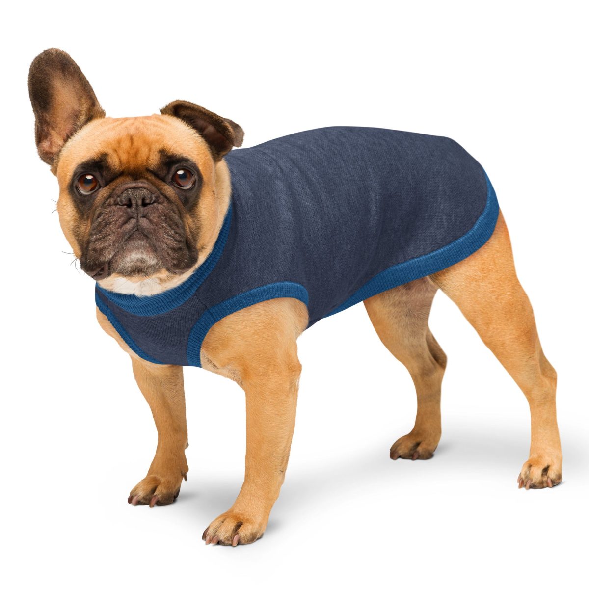 Product Image for Public Pups Preppy Dog Sweater — Navy & Collegiate Blue