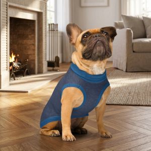 Product Image for Public Pups Preppy Dog Sweater — Navy & Collegiate Blue