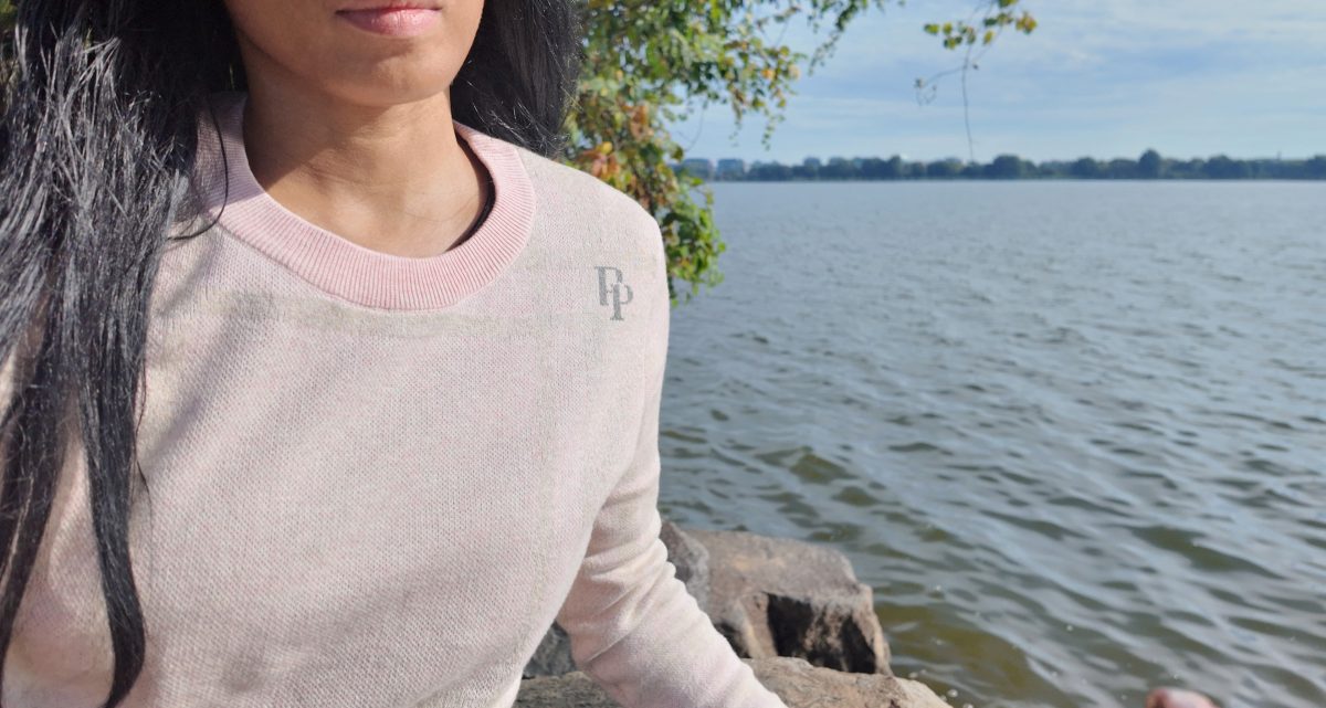 Product Image for Public Prep Preppy Crewneck Sweater — French Slate & Rose